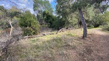 Enlarge photo 192