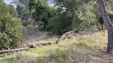 Enlarge photo 193