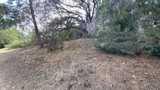 Enlarge photo 195