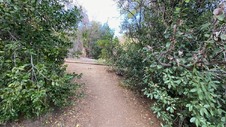 Enlarge photo 196
