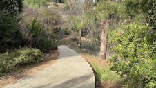 Enlarge photo 199