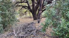 Enlarge photo 202