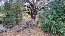 Enlarge photo 203