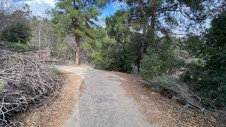 Enlarge photo 204
