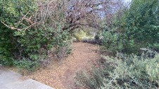 Enlarge photo 205