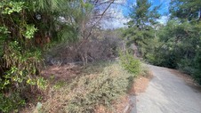 Enlarge photo 206