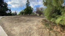 Enlarge photo 207
