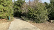 Enlarge photo 211