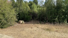 Enlarge photo 212