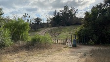 Enlarge photo 213