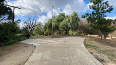 Enlarge photo 215