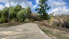 Enlarge photo 216