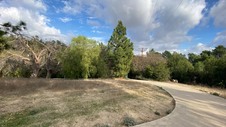 Enlarge photo 218