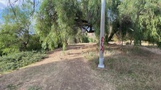 Enlarge photo 219