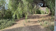 Enlarge photo 220