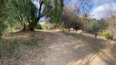 Enlarge photo 221