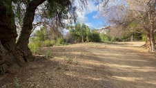 Enlarge photo 222