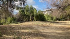 Enlarge photo 223