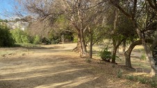 Enlarge photo 224