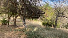 Enlarge photo 225