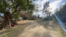 Enlarge photo 229