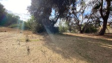 Enlarge photo 230