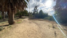 Enlarge photo 231