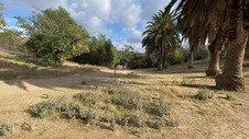 Enlarge photo 232