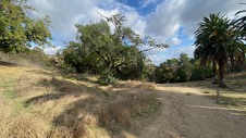 Enlarge photo 234