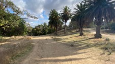 Enlarge photo 235