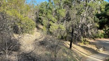 Enlarge photo 236