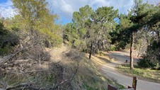 Enlarge photo 237