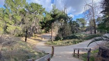 Enlarge photo 238