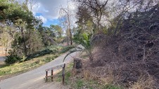 Enlarge photo 239