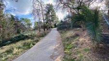 Enlarge photo 240