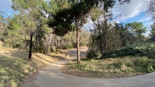 Enlarge photo 241