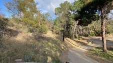 Enlarge photo 242