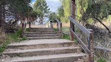 Enlarge photo 244
