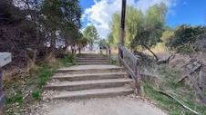 Enlarge photo 245