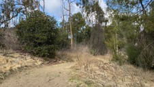 Enlarge photo 246