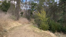Enlarge photo 247