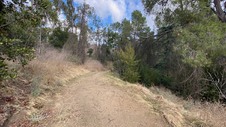 Enlarge photo 248