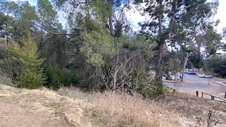 Enlarge photo 249