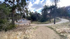 Enlarge photo 250