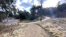 Enlarge photo 251