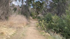Enlarge photo 253