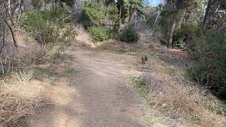 Enlarge photo 254