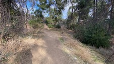 Enlarge photo 255