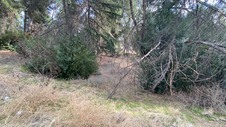 Enlarge photo 256