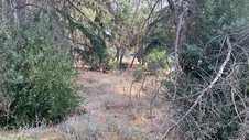 Enlarge photo 257